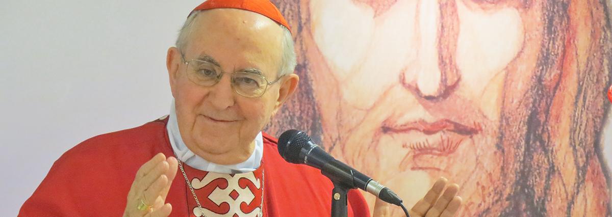 Cardinale Agostino Vallini